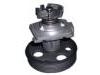 Bomba de agua Water Pump:46527473