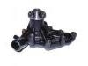 Bomba de agua Water Pump:5-13616-169-0