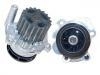 Water Pump:AW6034