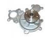 Wasserpumpe Water Pump:AW6197