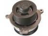 水泵 Water Pump:500356553